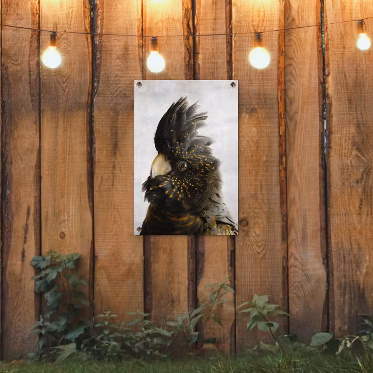 Tuinposter - Kaketoe - Vogel - Goud — 3
