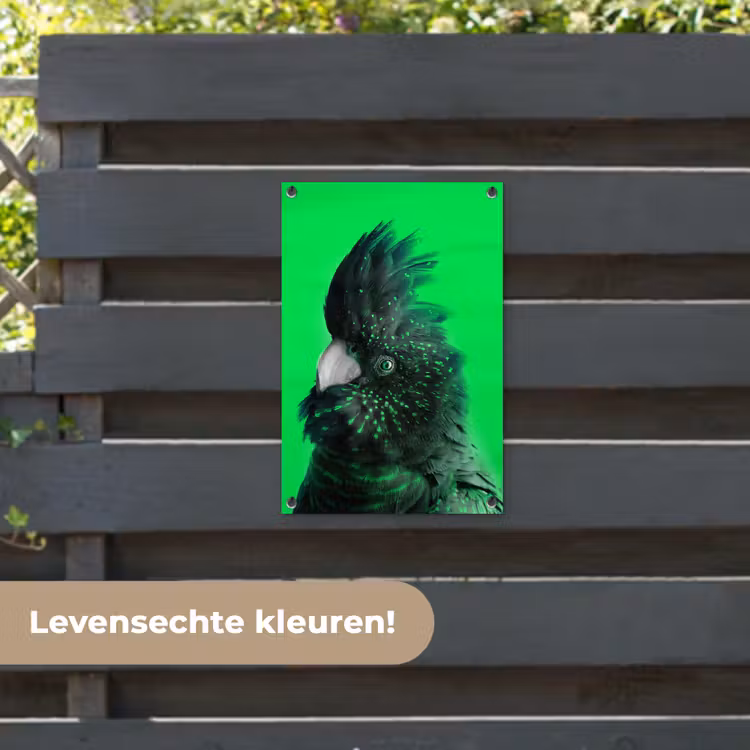 Tuinposter - Kaketoe - Vogel - Groen — 6