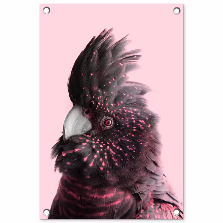 Tuinposter - Kaketoe - Vogel - Roze — 1