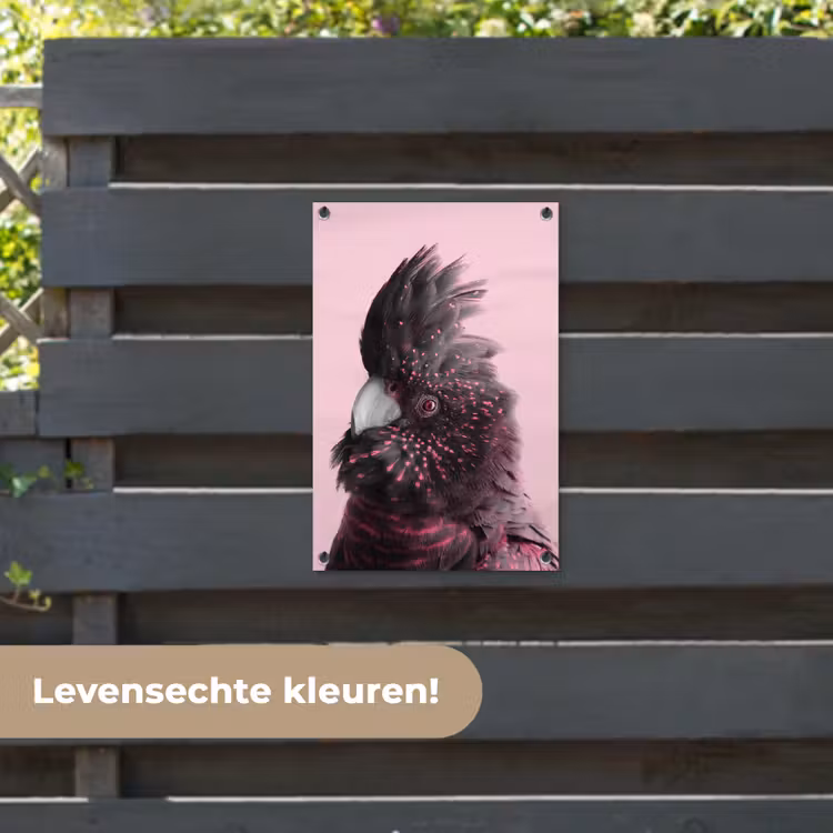 Tuinposter - Kaketoe - Vogel - Roze — 6