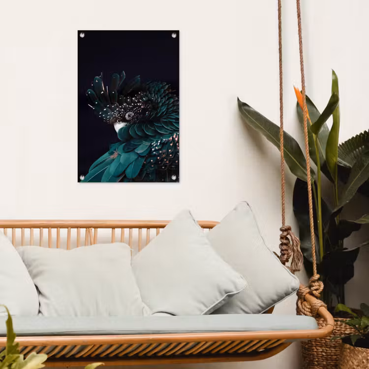Tuinposter - Kaketoe - Vogel - Zwart — 4