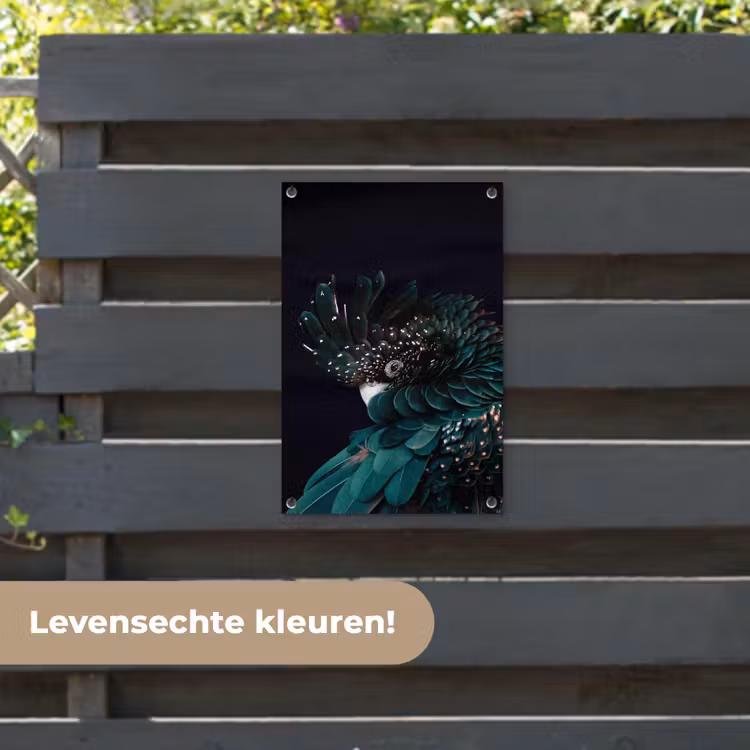 Tuinposter - Kaketoe - Vogel - Zwart — 6