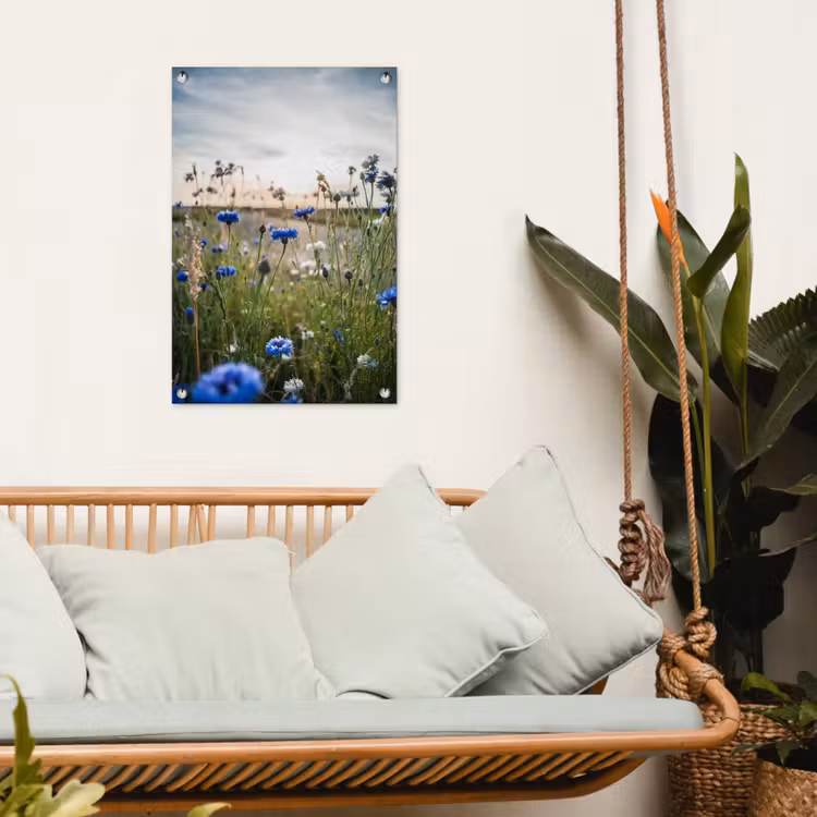 Tuinposter - Korenbloemen bij zonsondergang — 4