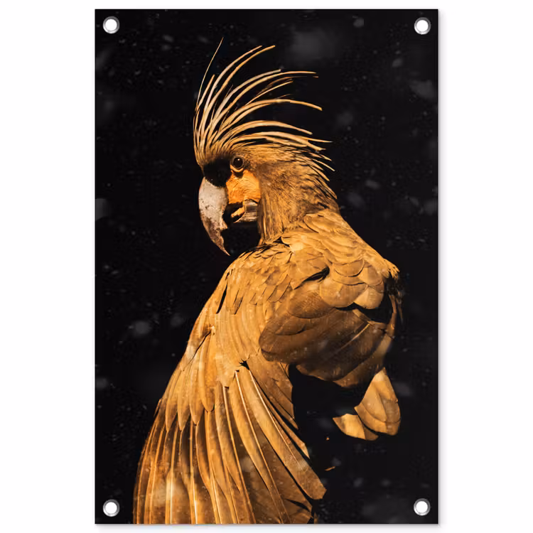 Tuinposter - Kaketoe - Vogels - Goud — 1