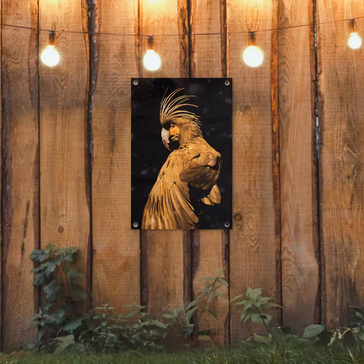 Tuinposter - Kaketoe - Vogels - Goud — 2