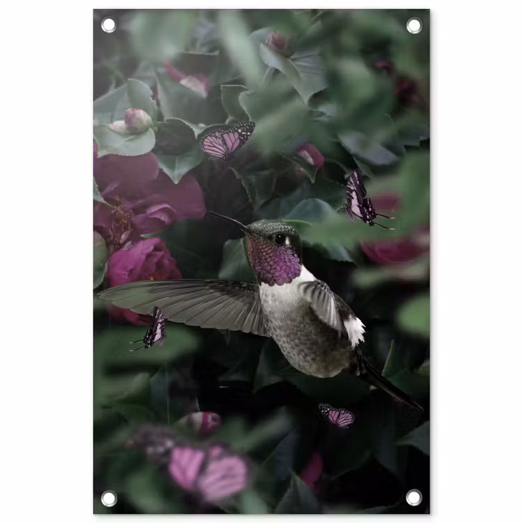 Tuinposter - Kolibrie - Paars - Rozen — 1