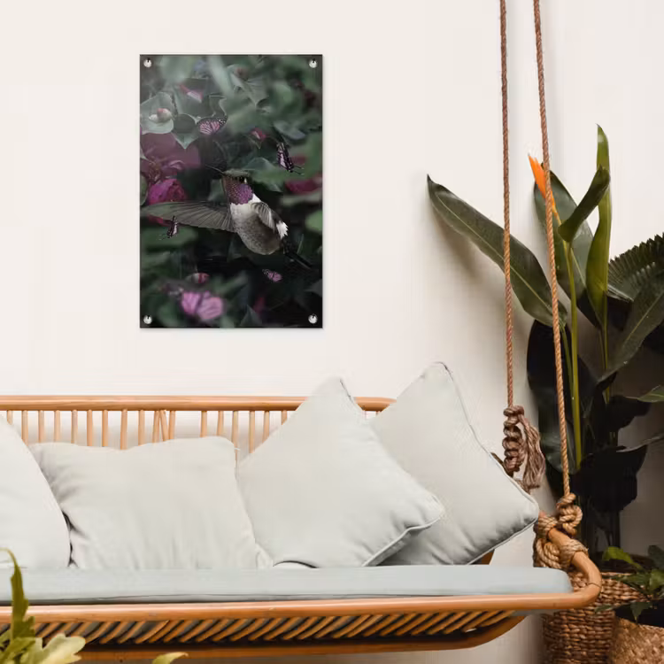 Tuinposter - Kolibrie - Paars - Rozen — 4
