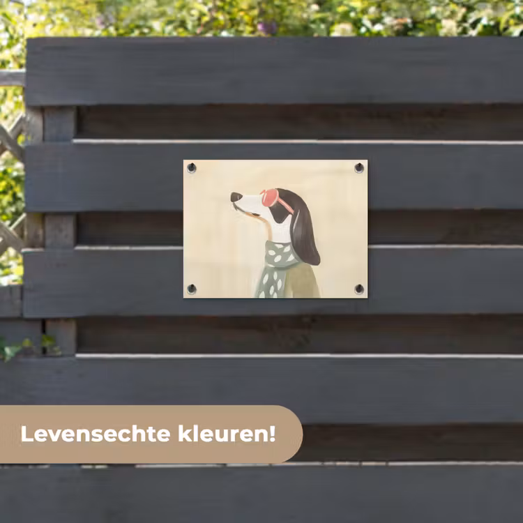 Tuinposter - Hond - Zonnebril - Sjaal — 6
