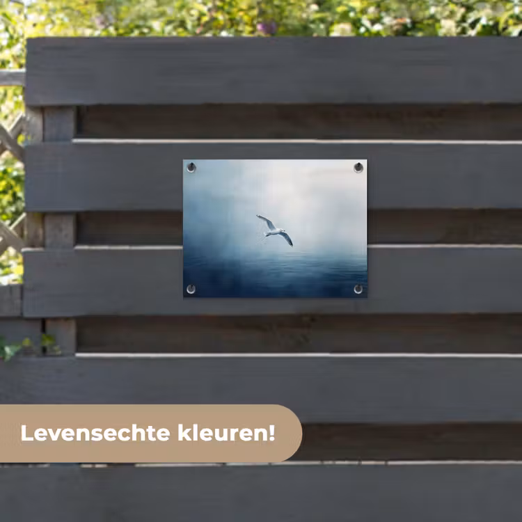 Tuinposter - Meeuw - Wit - Zee - Mistig — 6