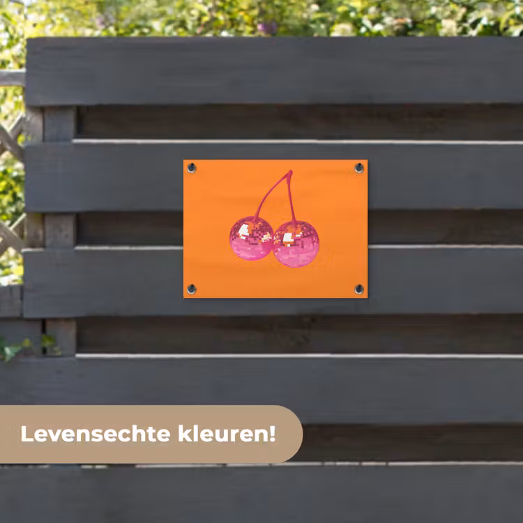 Tuinposter - Discoballen - Kers - Spiegels - Roze — 6