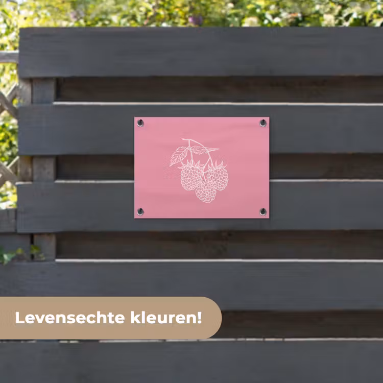 Tuinposter - Frambozen - Steel - Getekend - Roze — 6