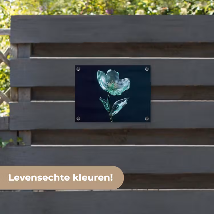 Tuinposter - Bladeren - Bloem - Glazen - Donkerblauw — 6