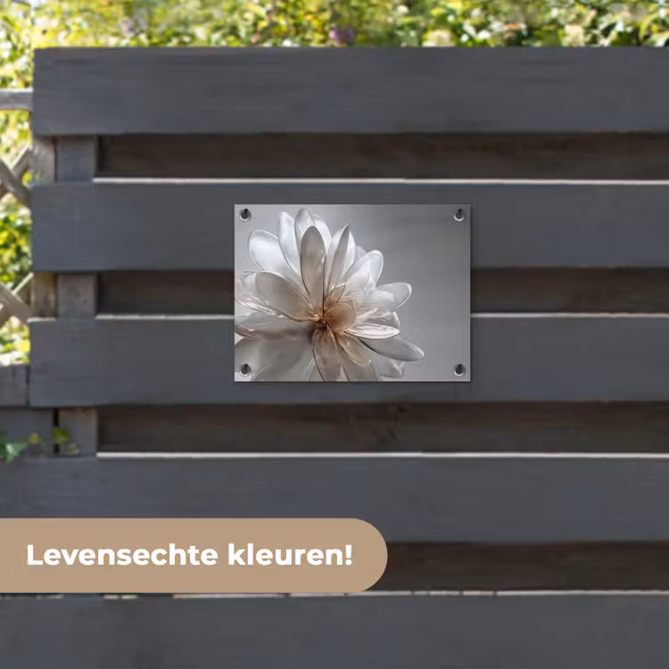 Tuinposter - Bloem - Wit - Neutraal — 6