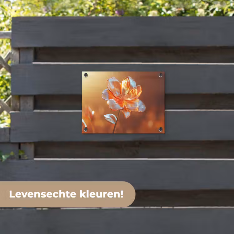 Tuinposter - Glazen - Bloem - Zonlicht — 6