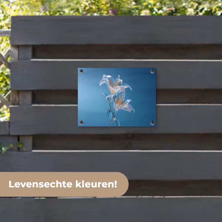 Tuinposter - Lelies - Blauw - Glazen — 6