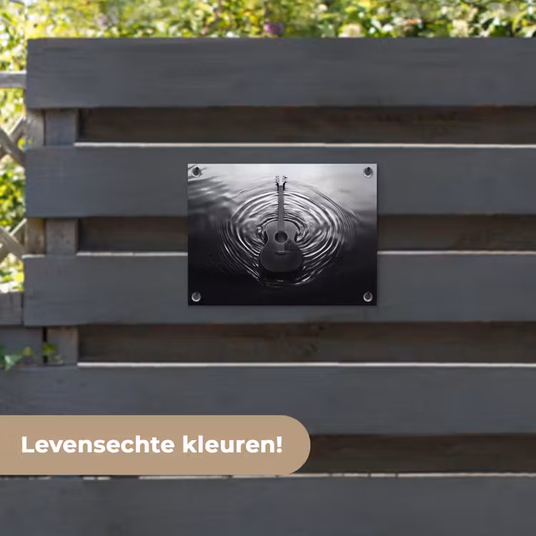 Tuinposter - Gitaar - Hout - Water — 6