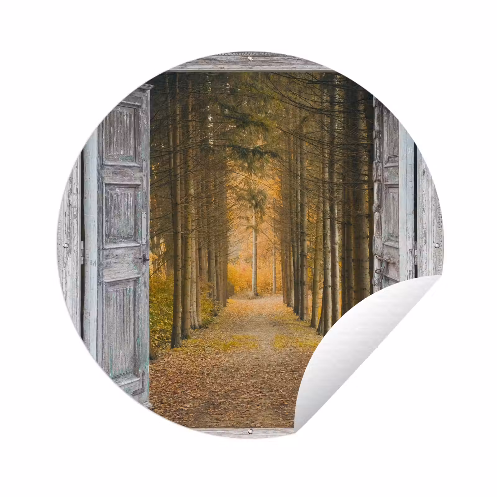 Tuinposter - Bos - Herfst - Doorkijk — 1