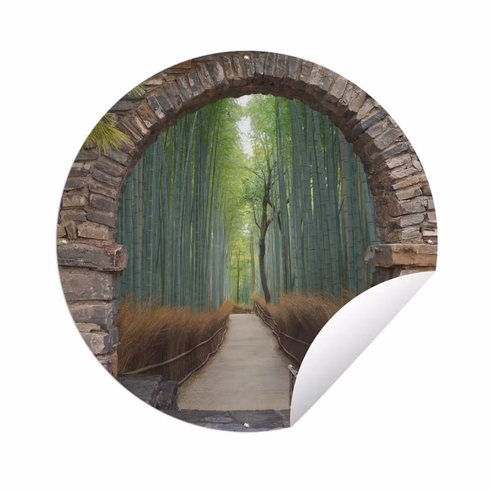 Tuinposter - Bamboe - Japans - Doorkijk - Bos — 1