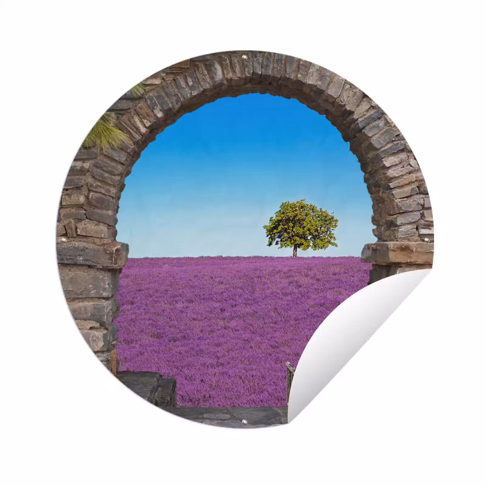 Tuinposter - Bloemen - Lavendel - Boom - Doorkijk — 1