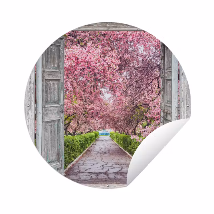 Tuinposter - Sakura - Doorkijk - Boom - Kersenbloesem — 1
