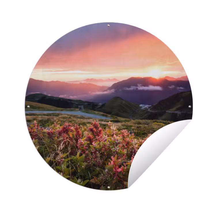 Tuinposter - Bloemen - Bergen - Landschap - Nacht - Lucht - Roze — 1