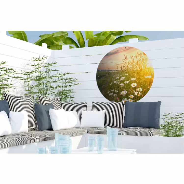 Tuinposter - Bloemen - Madelief - Natuur - Zon - Horizon — 3