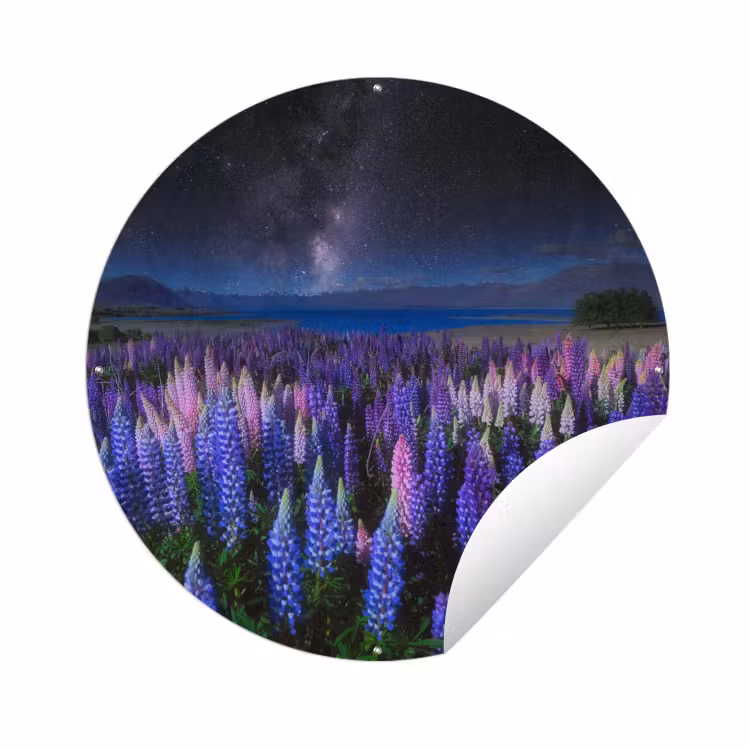 Tuinposter - Bloemen - Nacht - Lupine - Sterrenhemel - Paars - Natuur — 1