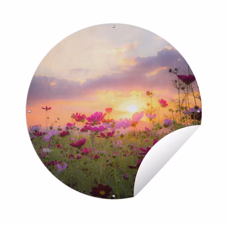 Tuinposter - Bloemen - Roze - Zonsondergang - Natuur - Weide - Horizon — 1