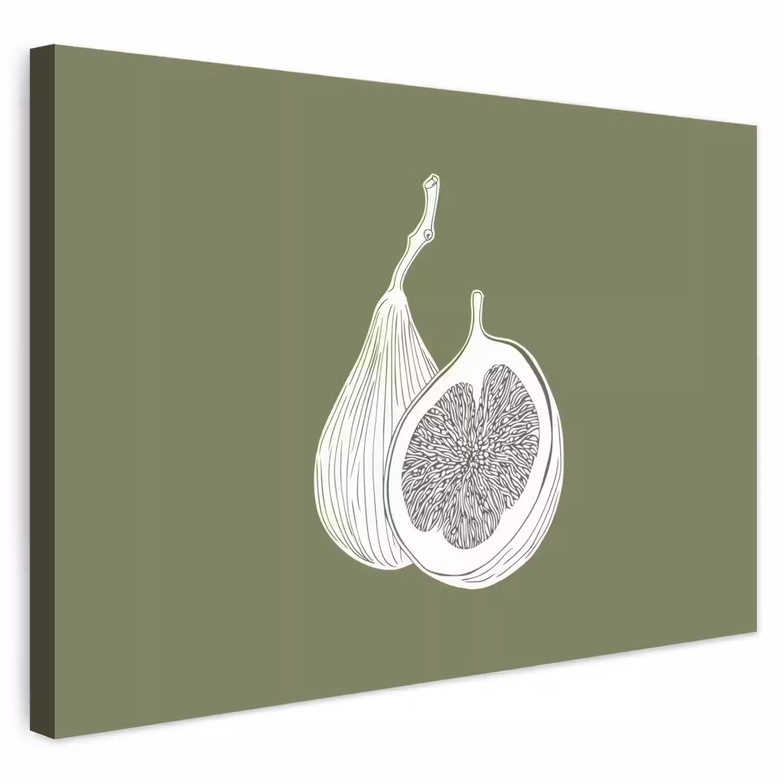 Buiten canvas - Vijgen - Minimalistisch - Getekend - Mosgroen — 1