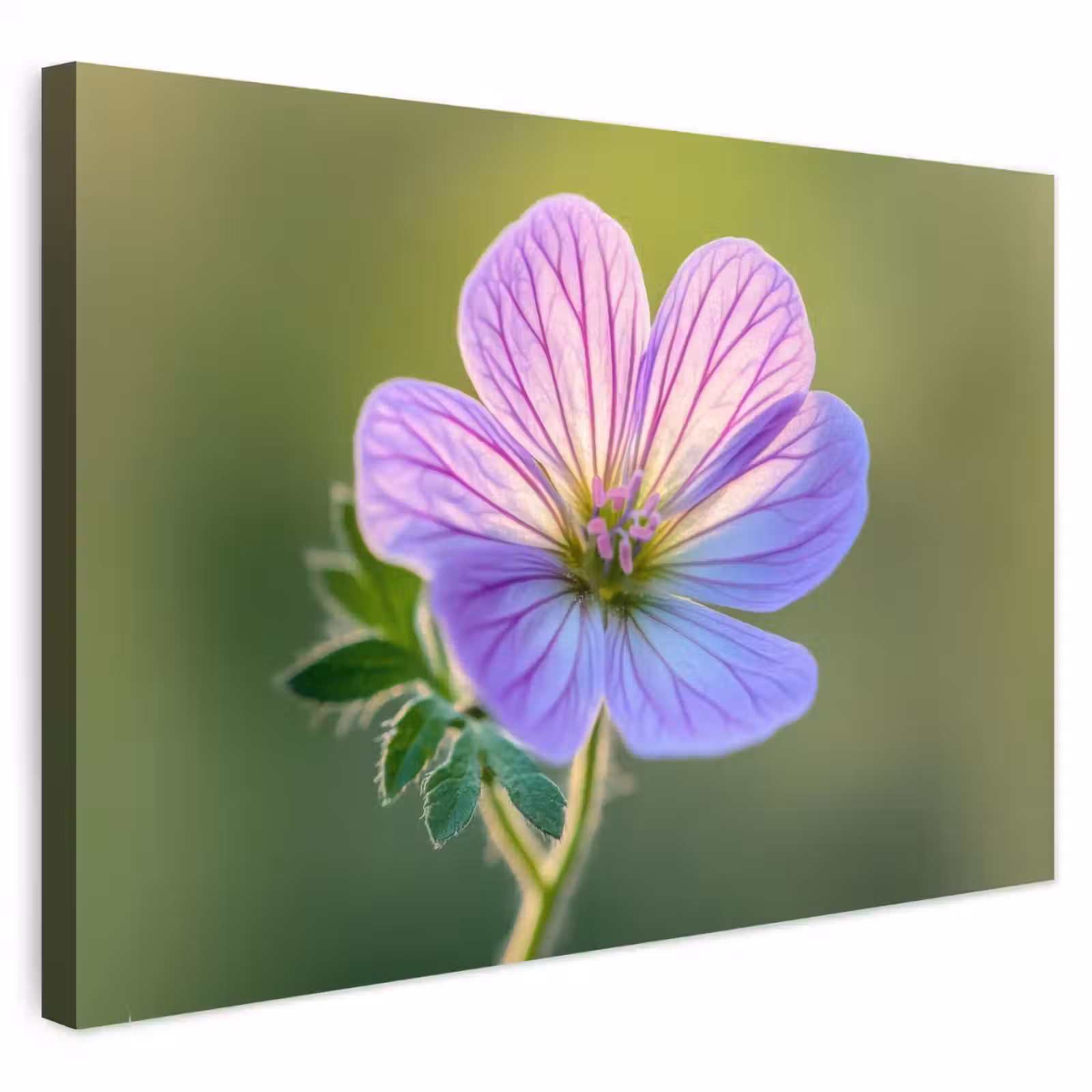 Buiten canvas - Bloem - Close up - Paars — 1