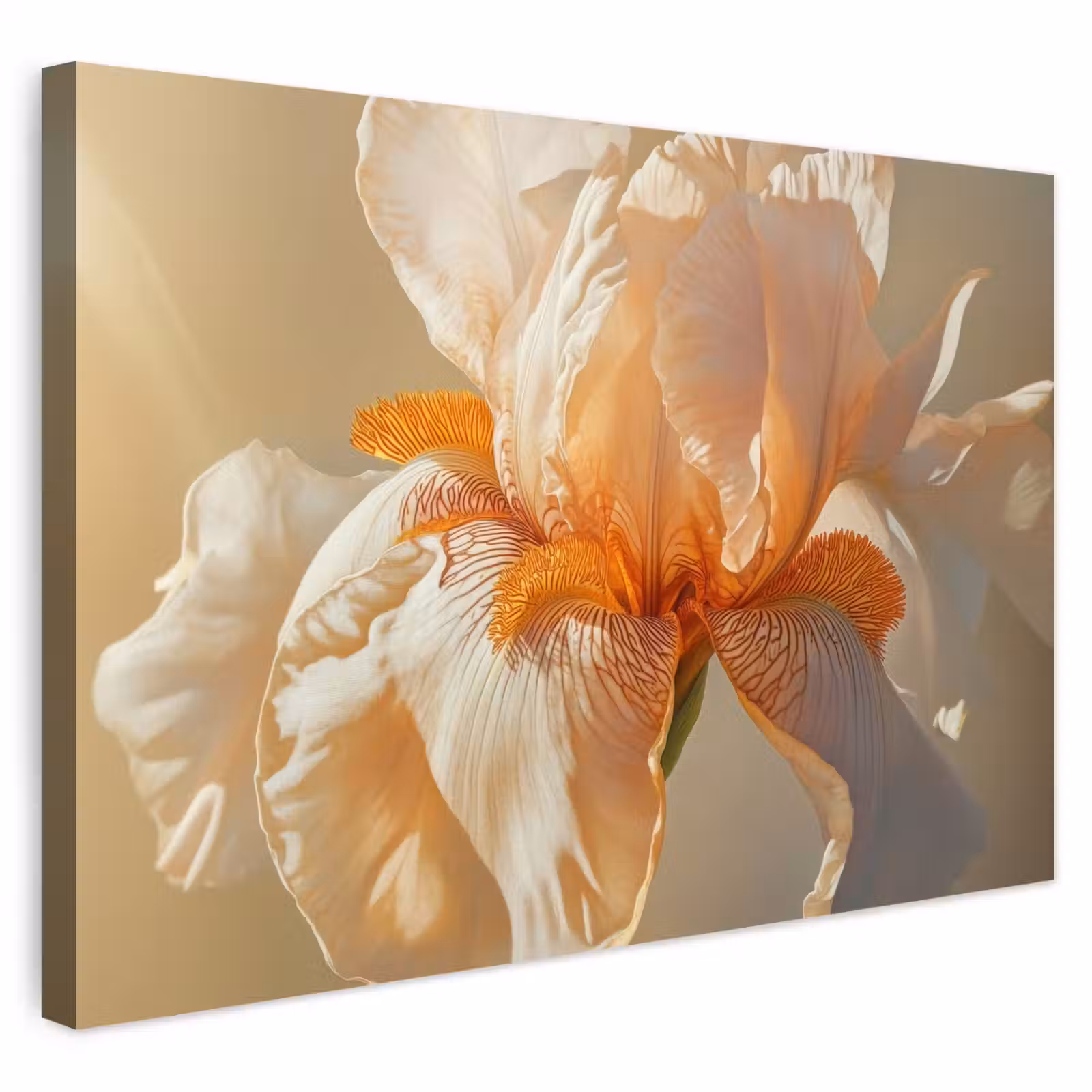 Buiten canvas - Close up - Oranje - Iris — 1