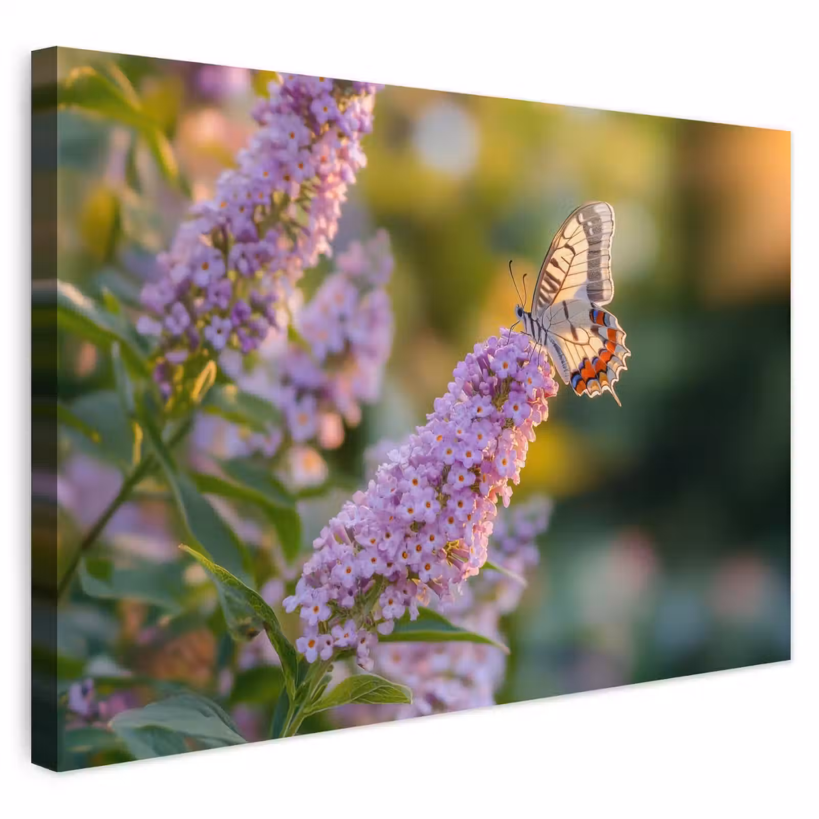 Buiten canvas - Sierlijke - Vlinder - Paarse - Bloemen — 1