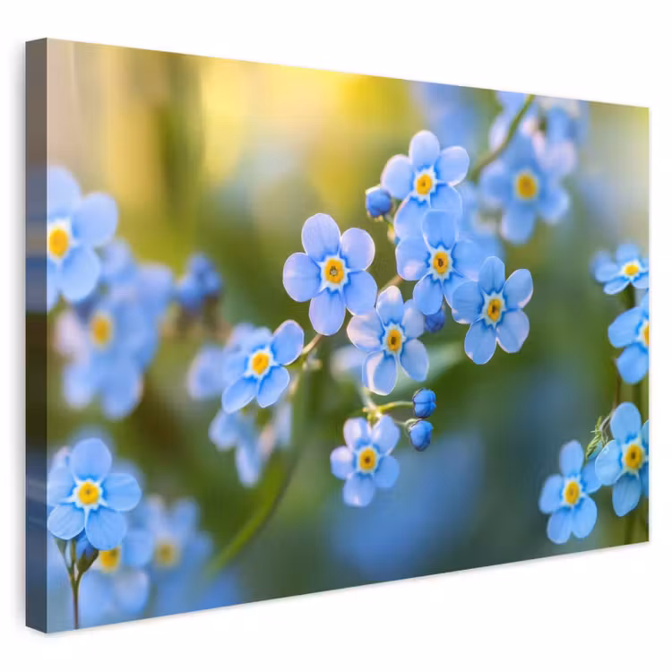 Buiten canvas - Bloemetjes - Blauw - Vergeet mij nietjes — 1