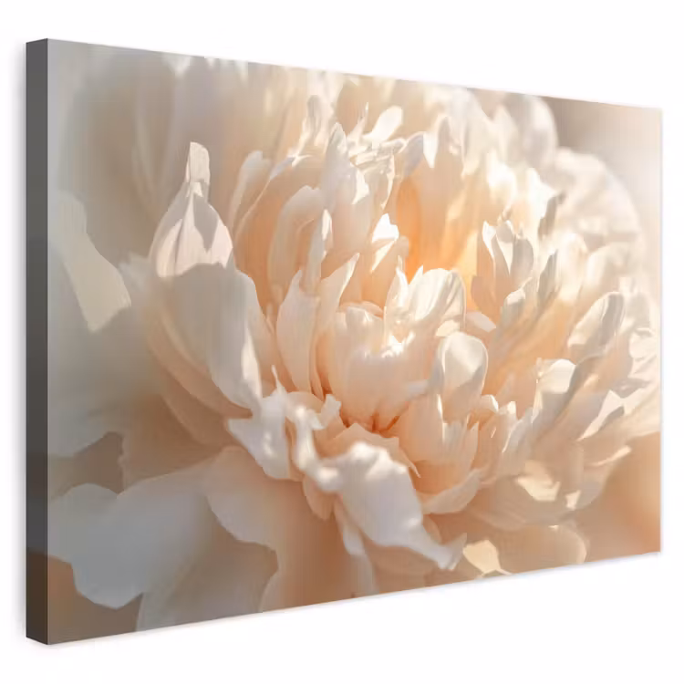 Buiten canvas - Close up - Pioenroos - Lichtroze — 1
