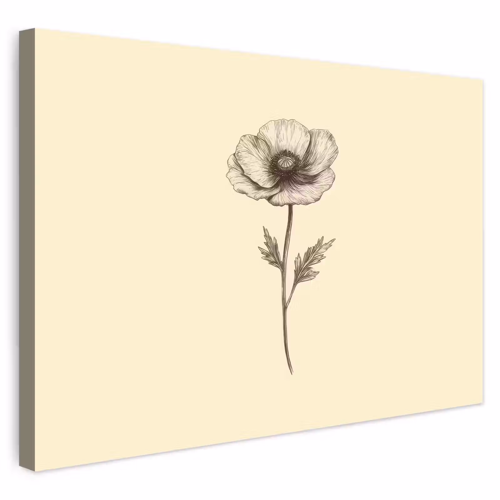 Buiten canvas - Klaproos - Illustratie - Zwart — 1
