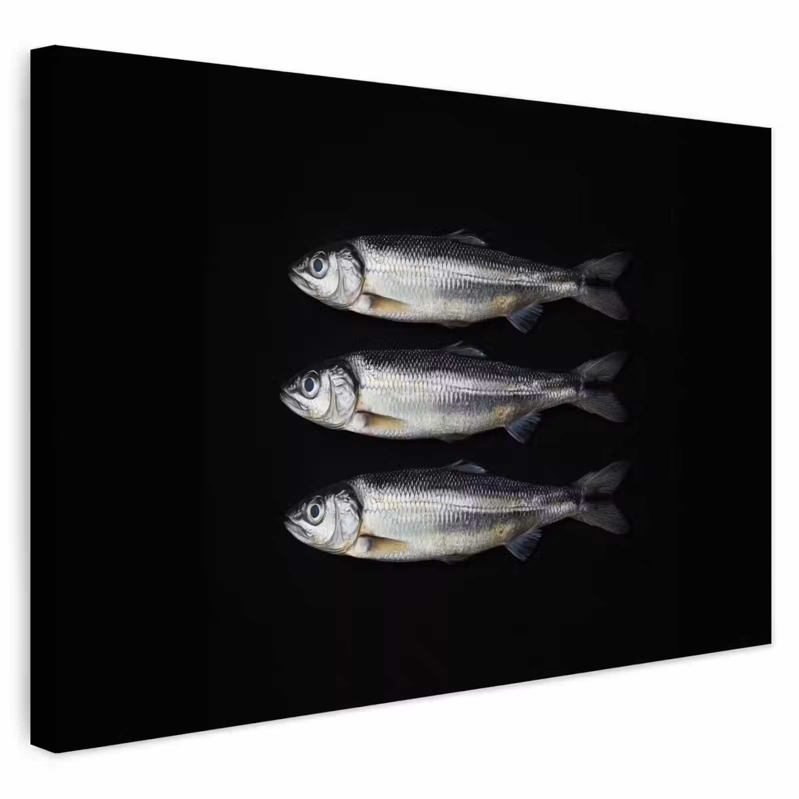Buiten canvas - Haring - Vissen - Zwart — 1