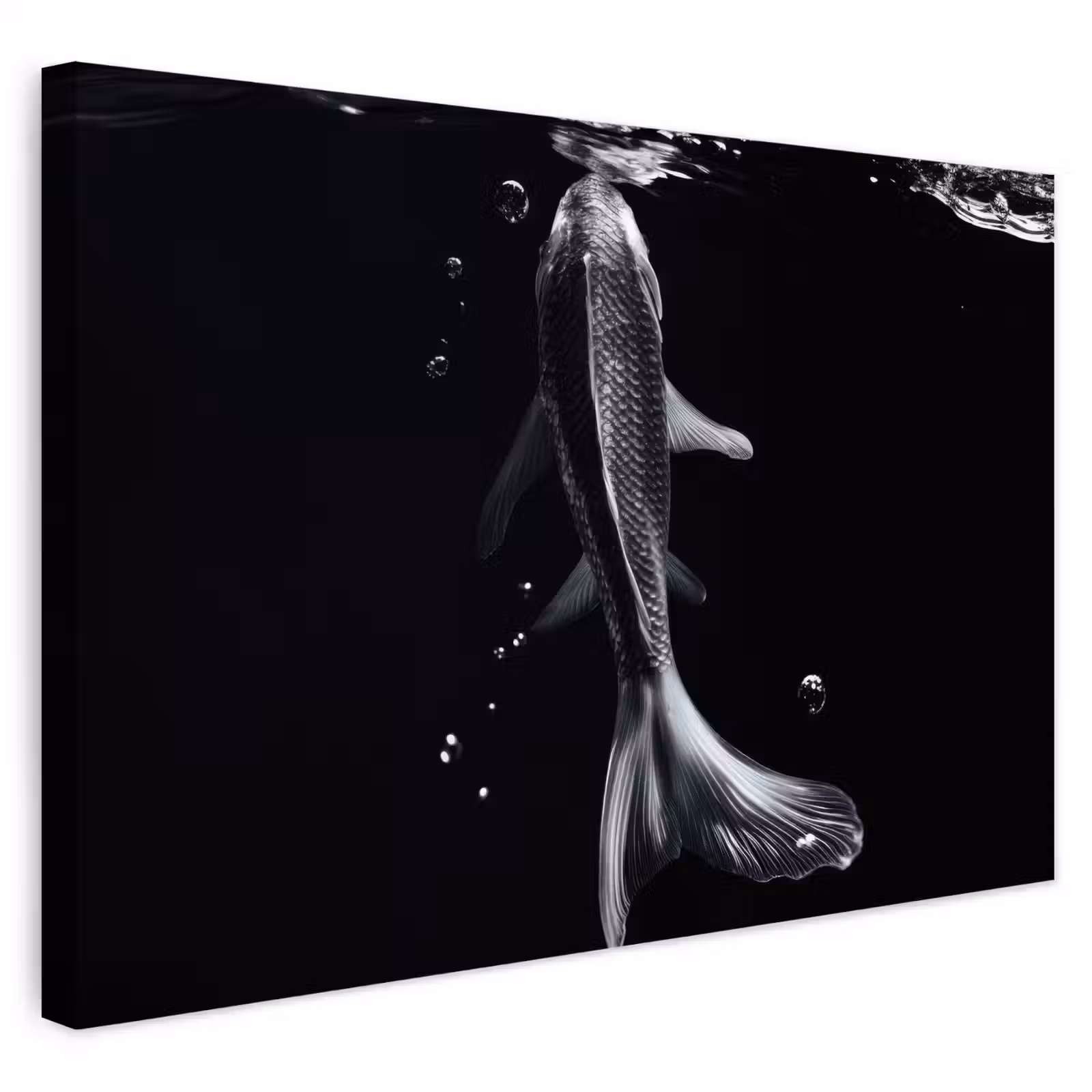 Buiten canvas - Koi - Vissen - Water - Zwart — 1