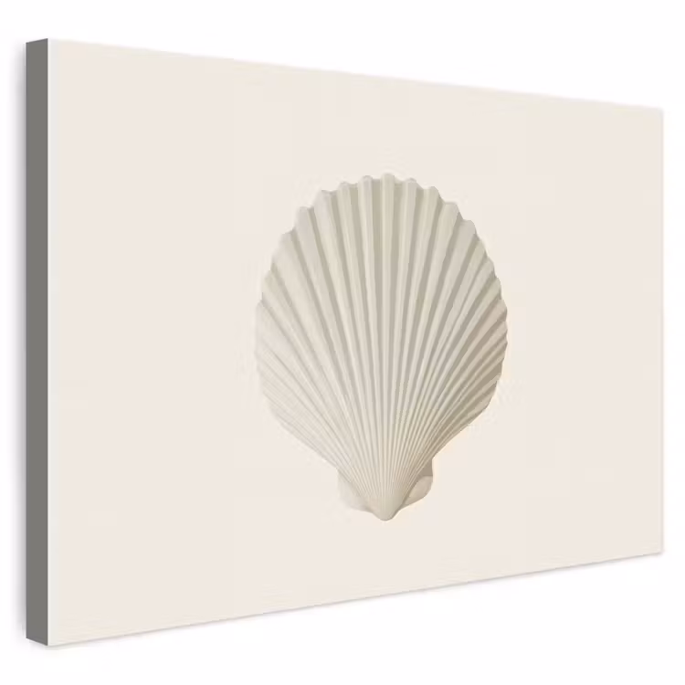 Buiten canvas - Schelp - Minimalistisch - Wit — 1