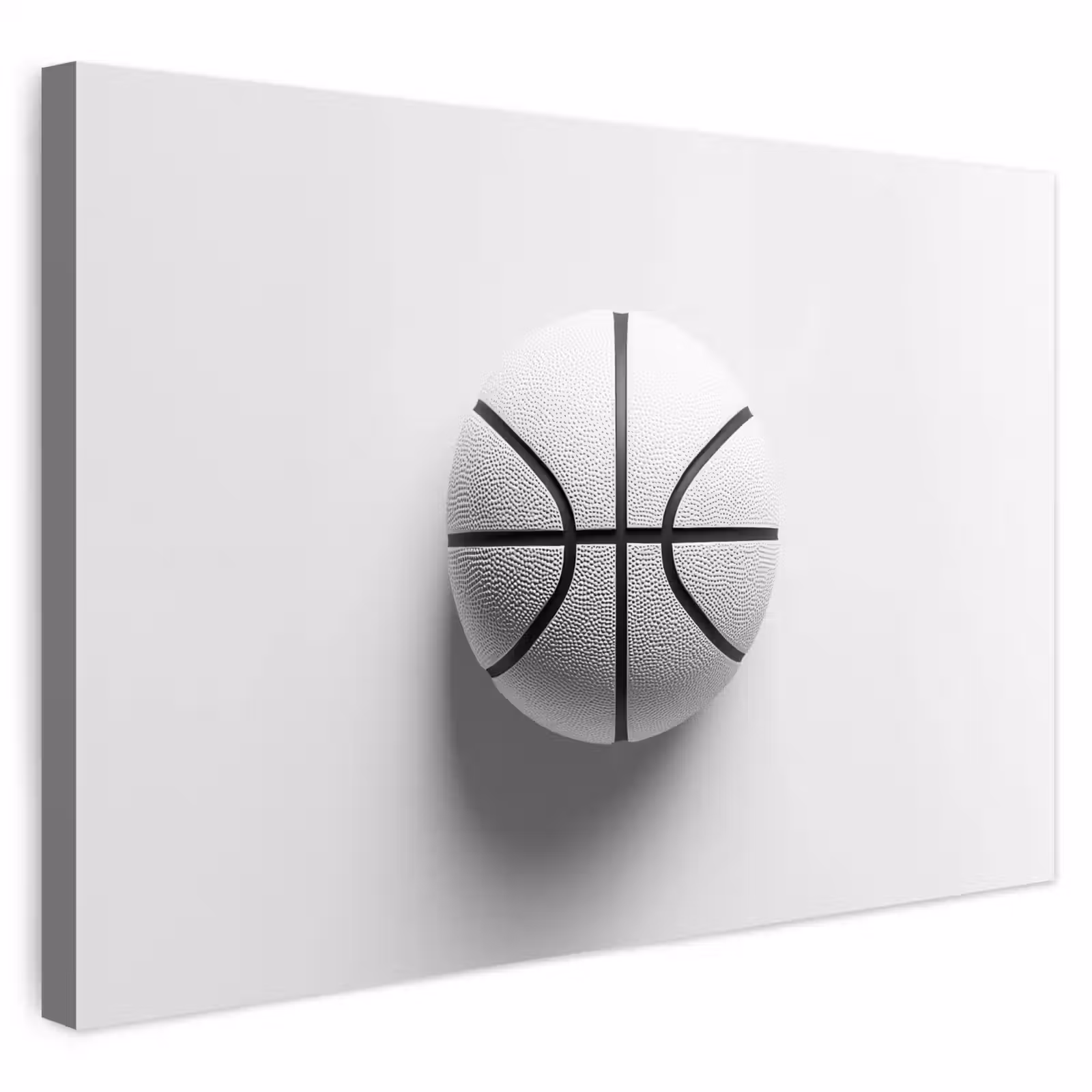 Buiten canvas - Basketbal - Wit - Schaduw - Lijnen — 1