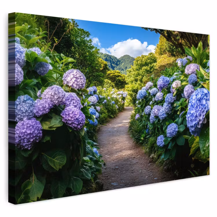 Buiten canvas - Hortsensia - Pad - Bloemen — 1