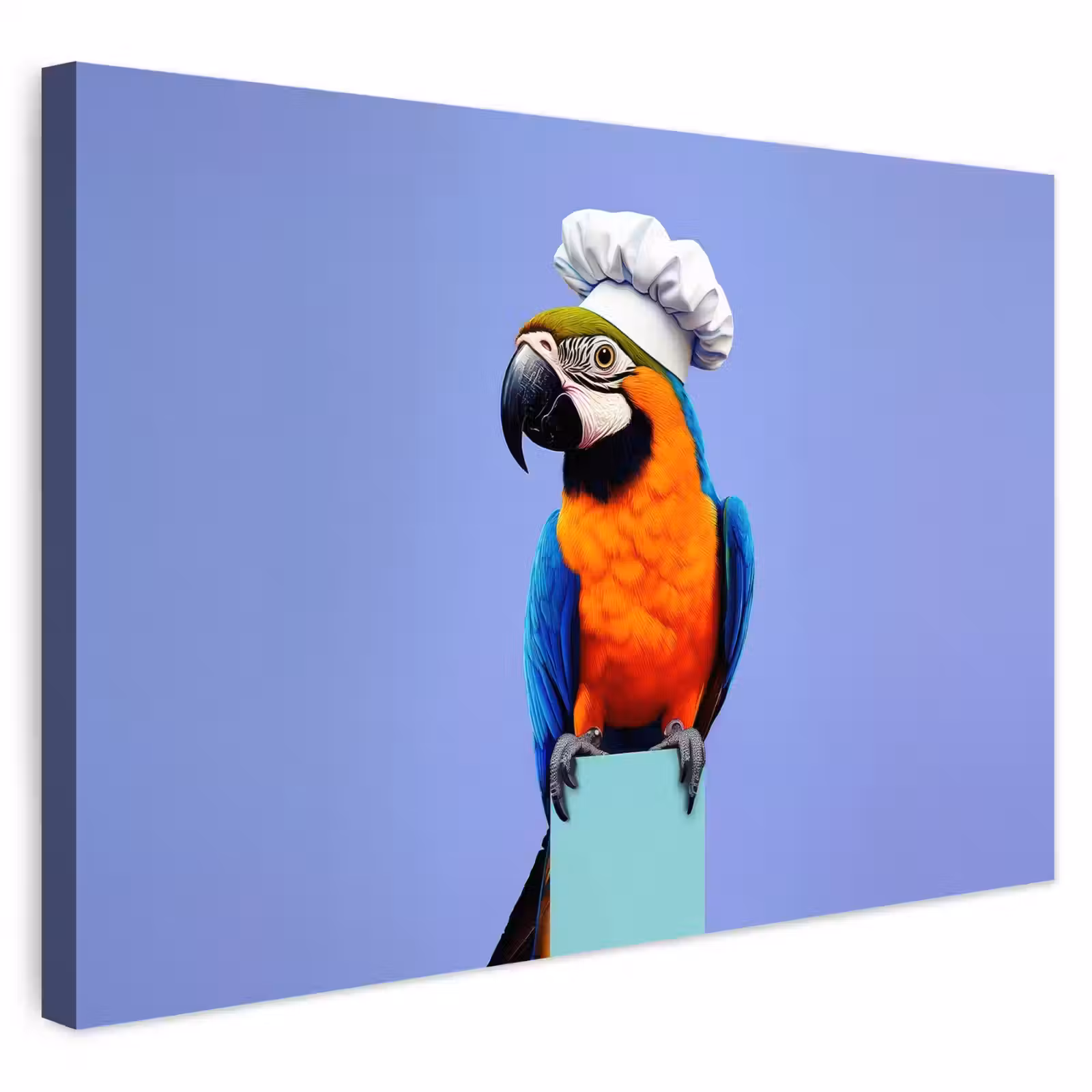 Buiten canvas - Papegaai - Koksmuts - Vogel - Leuk — 1