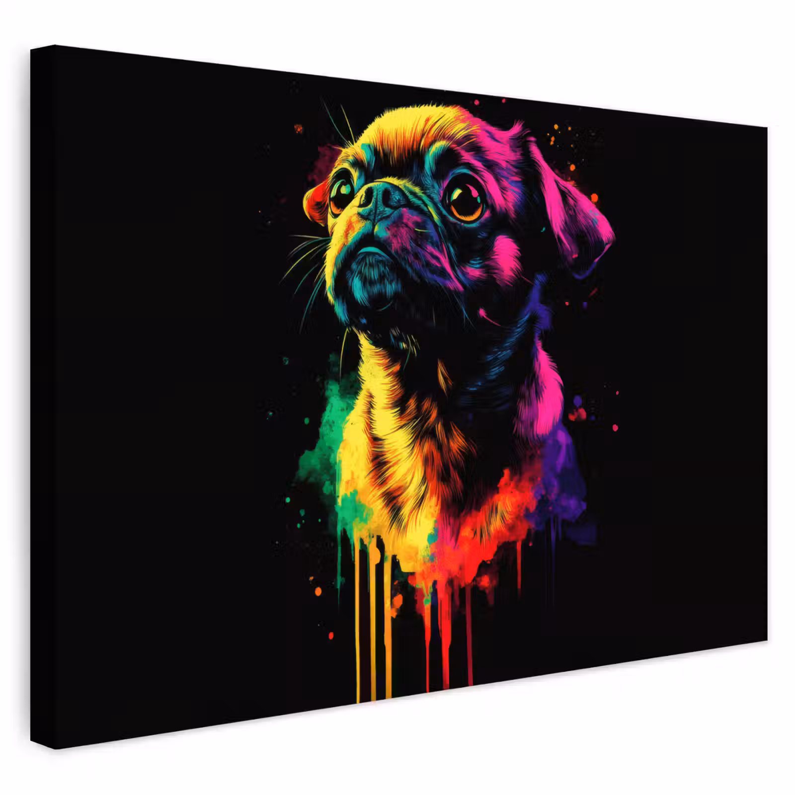 Buiten canvas - Puck - Hond - Verf - Kleuren — 1