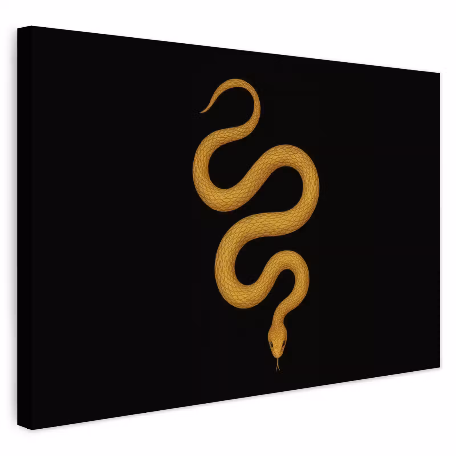 Buiten canvas - Slang - Minimalistisch - Goud — 1