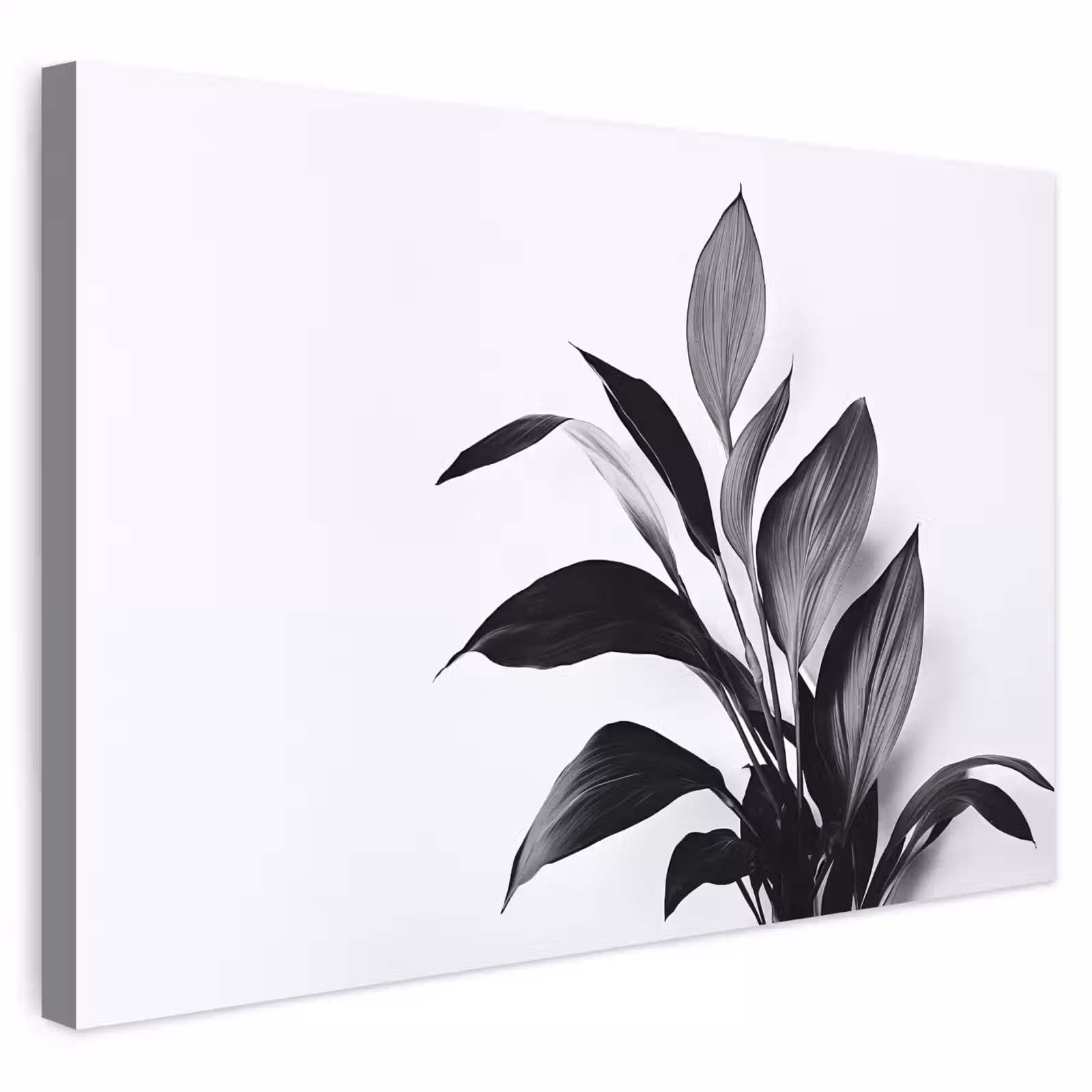 Buiten canvas - Plant - Bladeren - Minimalistisch - Zwart — 1