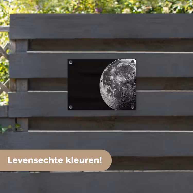 Tuinposter - Close-up - Maan - Wit - Textuur — 6
