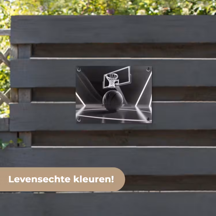 Tuinposter - Basketbal - Basketbalveld - Lichtlijnen — 6