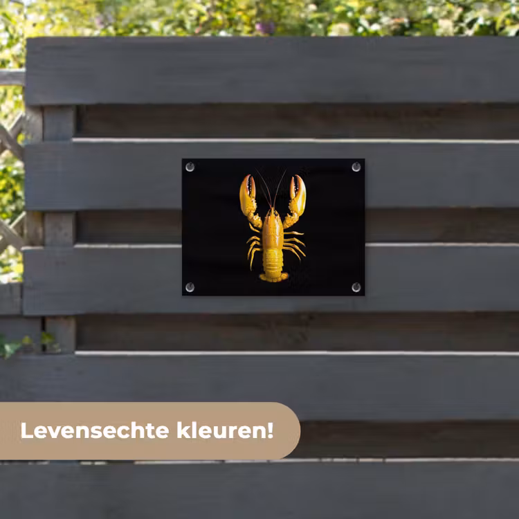 Tuinposter - Kreeft - Geel - Stippen - Effen — 6