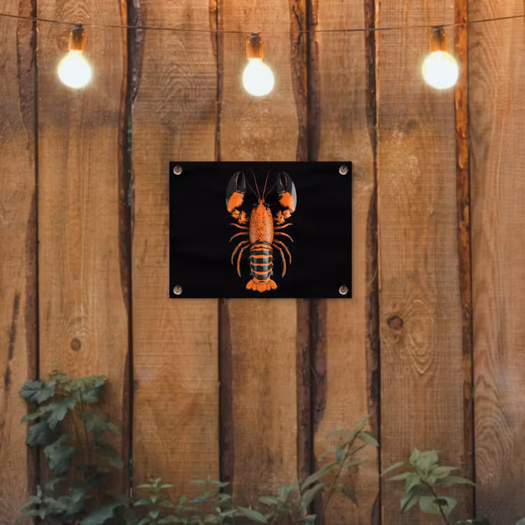 Tuinposter - Kreeft - Oranje - Zwart - Modern — 3