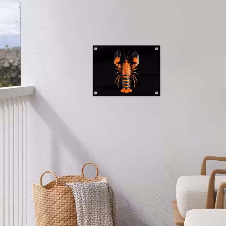 Tuinposter - Kreeft - Oranje - Zwart - Modern — 5