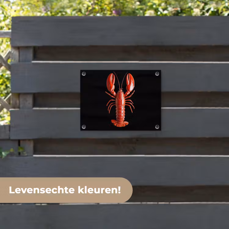 Tuinposter - Kreeft - Glossier Rood - Zwart — 6